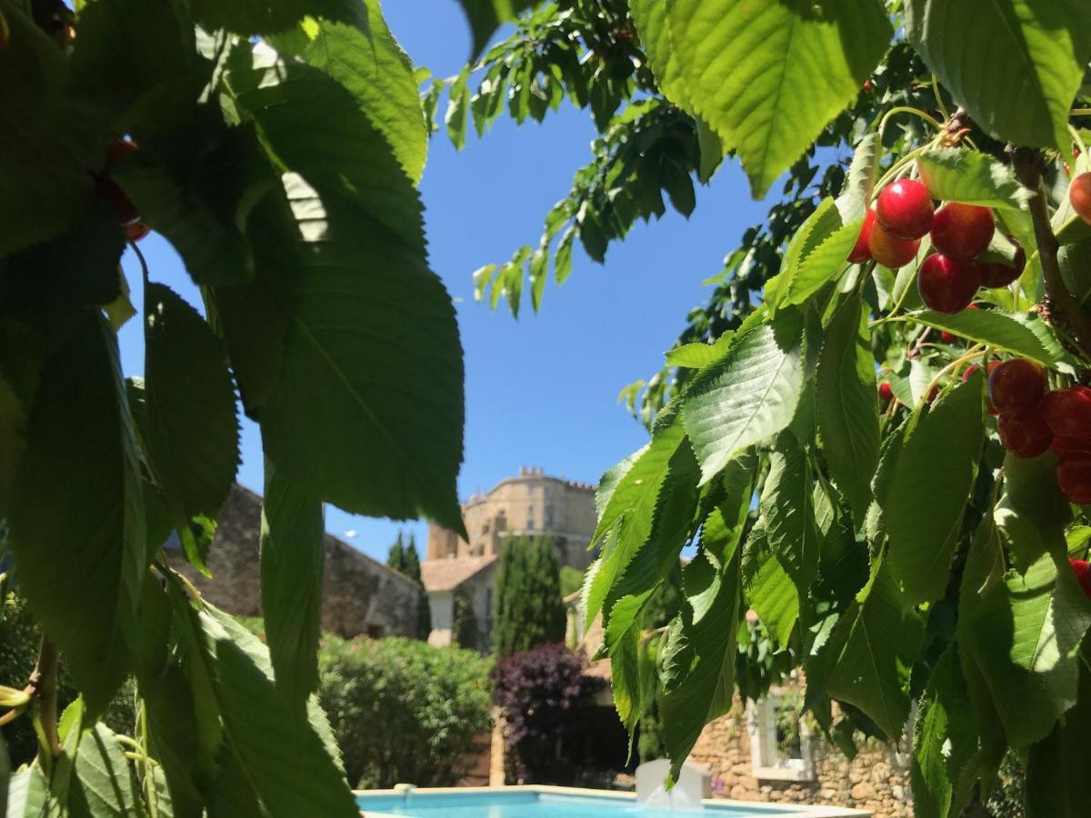Bed and Breakfast Les Aiguieres En Provence Suze-la-Rousse Exteriér fotografie