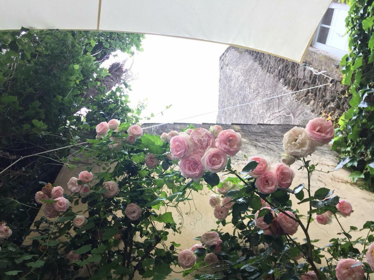 Bed and Breakfast Les Aiguieres En Provence Suze-la-Rousse Exteriér fotografie